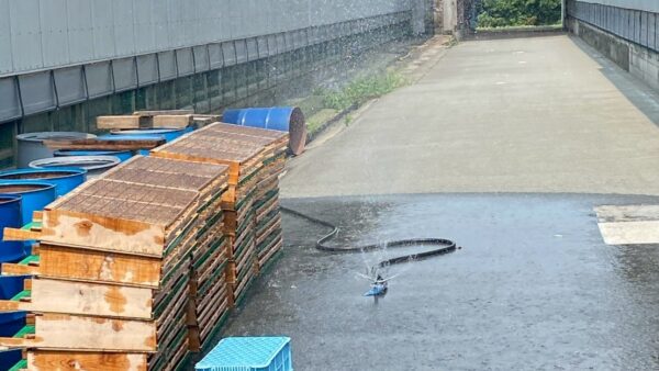 2025.7.7 幡野ファーム、農場の風景